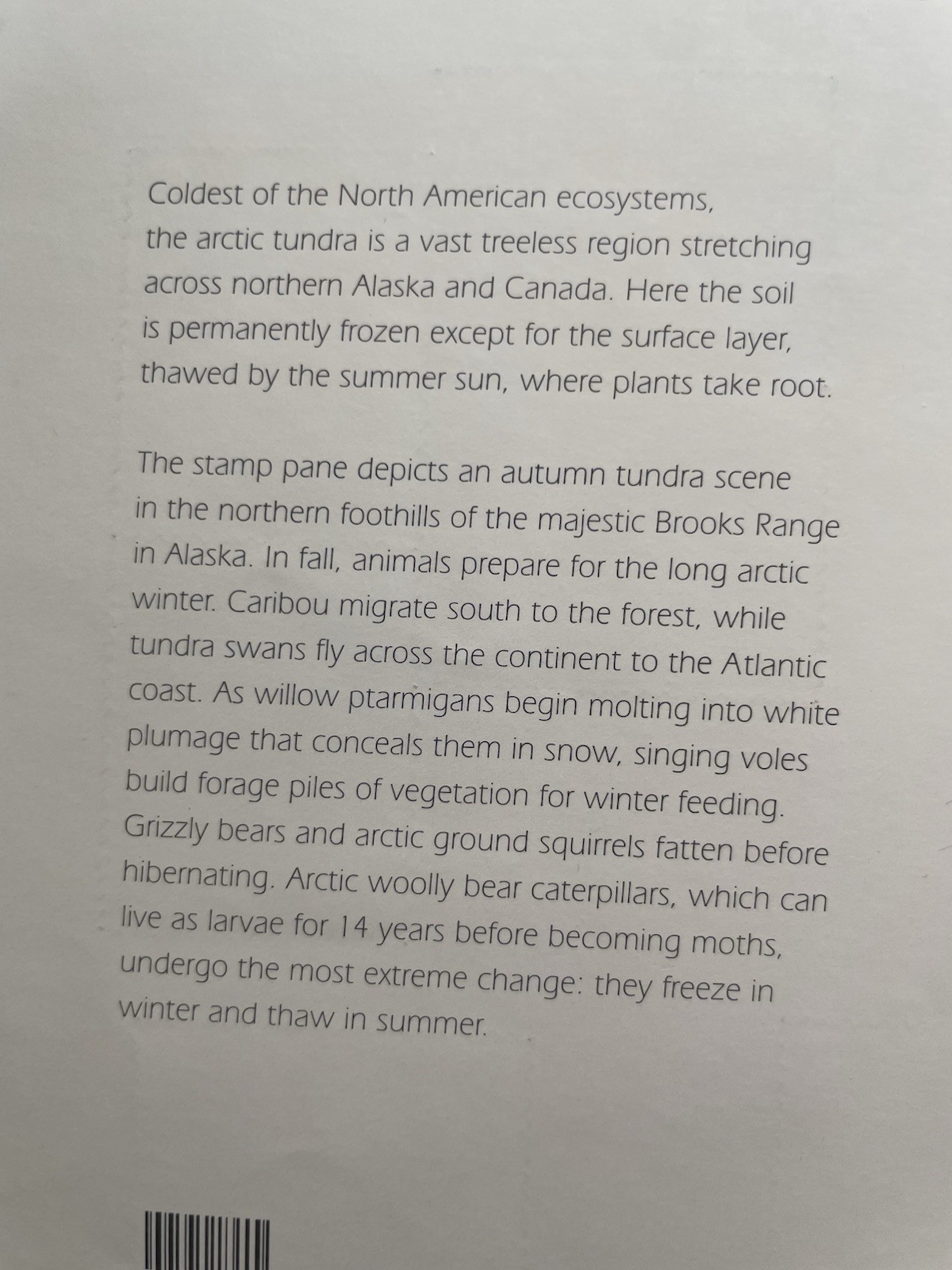 USA 34 Cent Nature of America: Arctic Tundra Postage Stamps, Sheet of 24