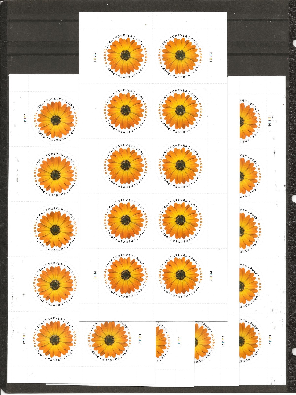 USPS Global International Mail Forever Postage Stamps (30 Sheets = 300 Stamps)