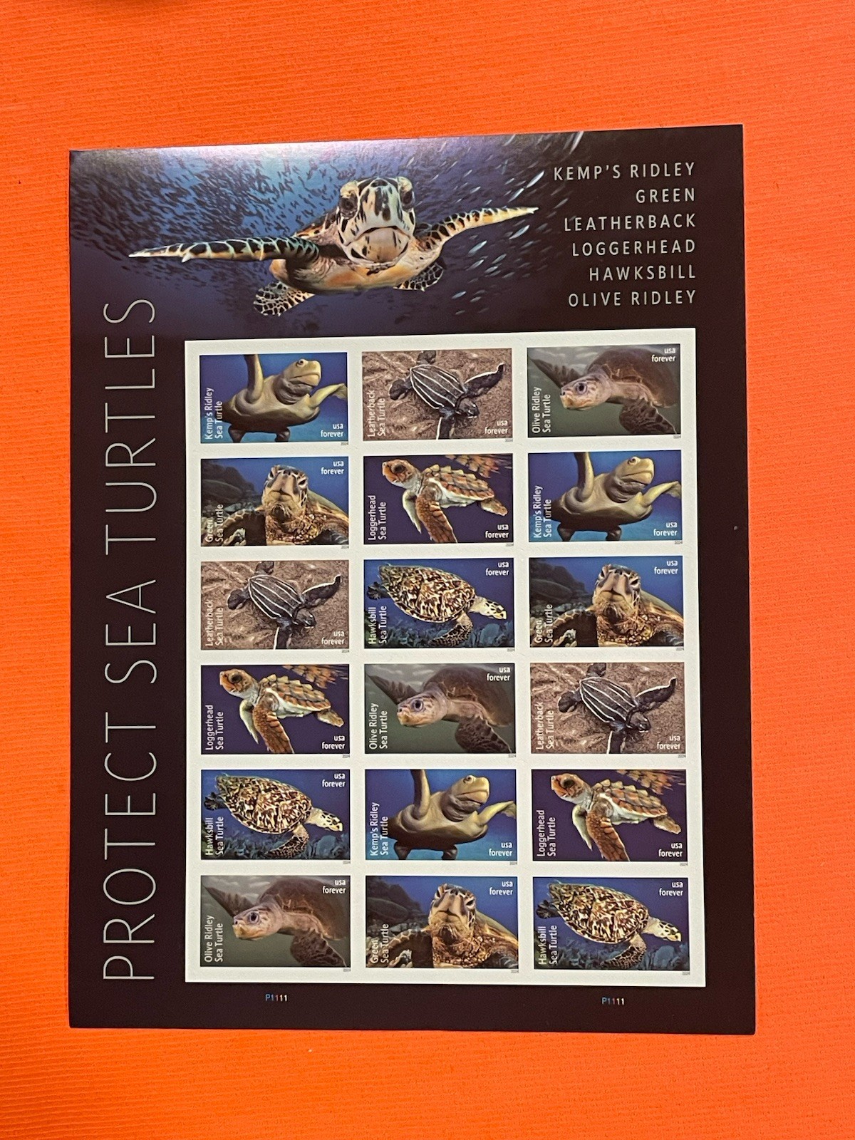 USPS Forever Stamps – Protect Sea Turtles (2023) Single Stamp Random MNH