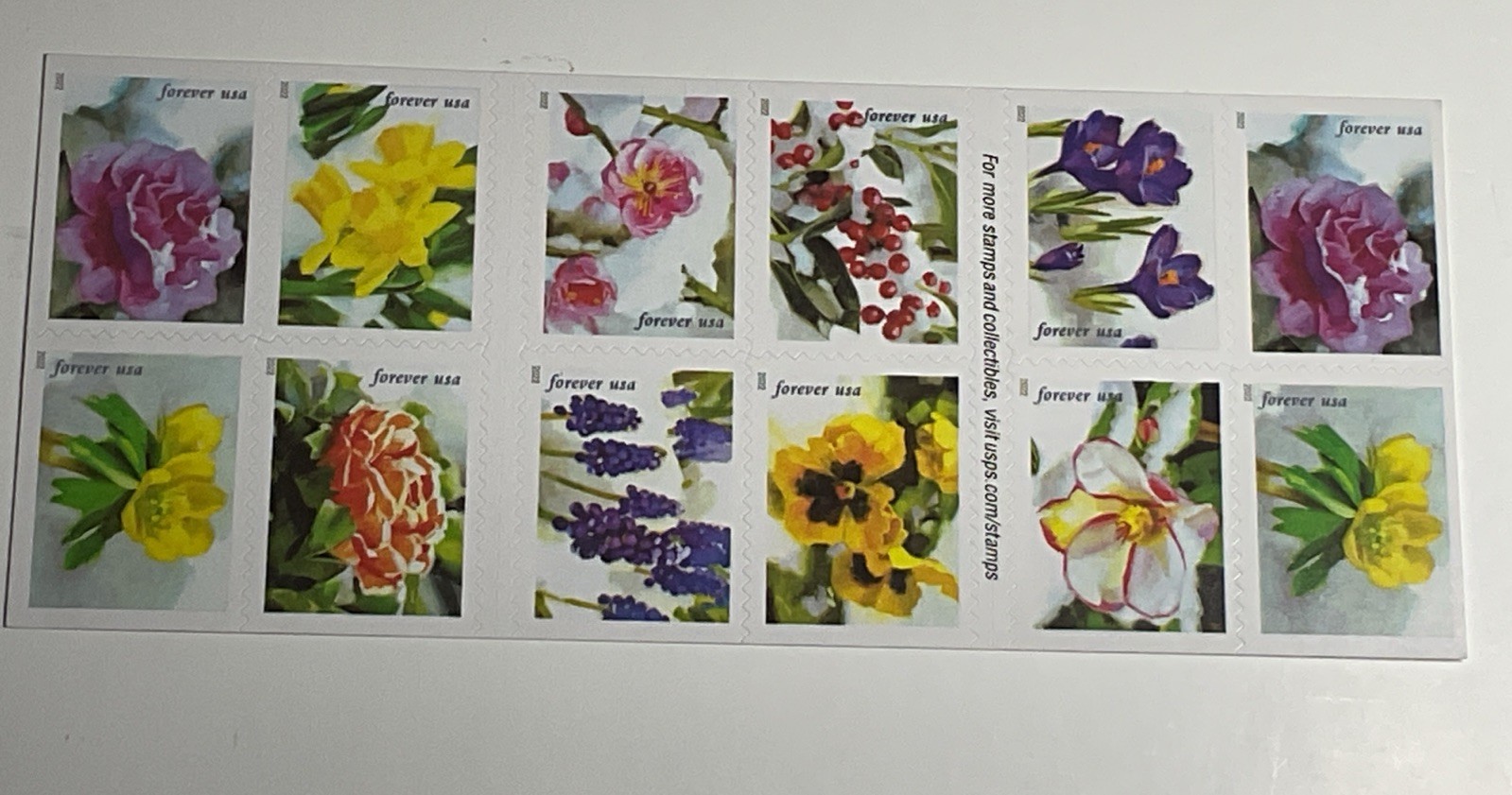 New AUTHENTIC USPS Snowy Beauty Flowers Book of 20 Forever Postage Stamps