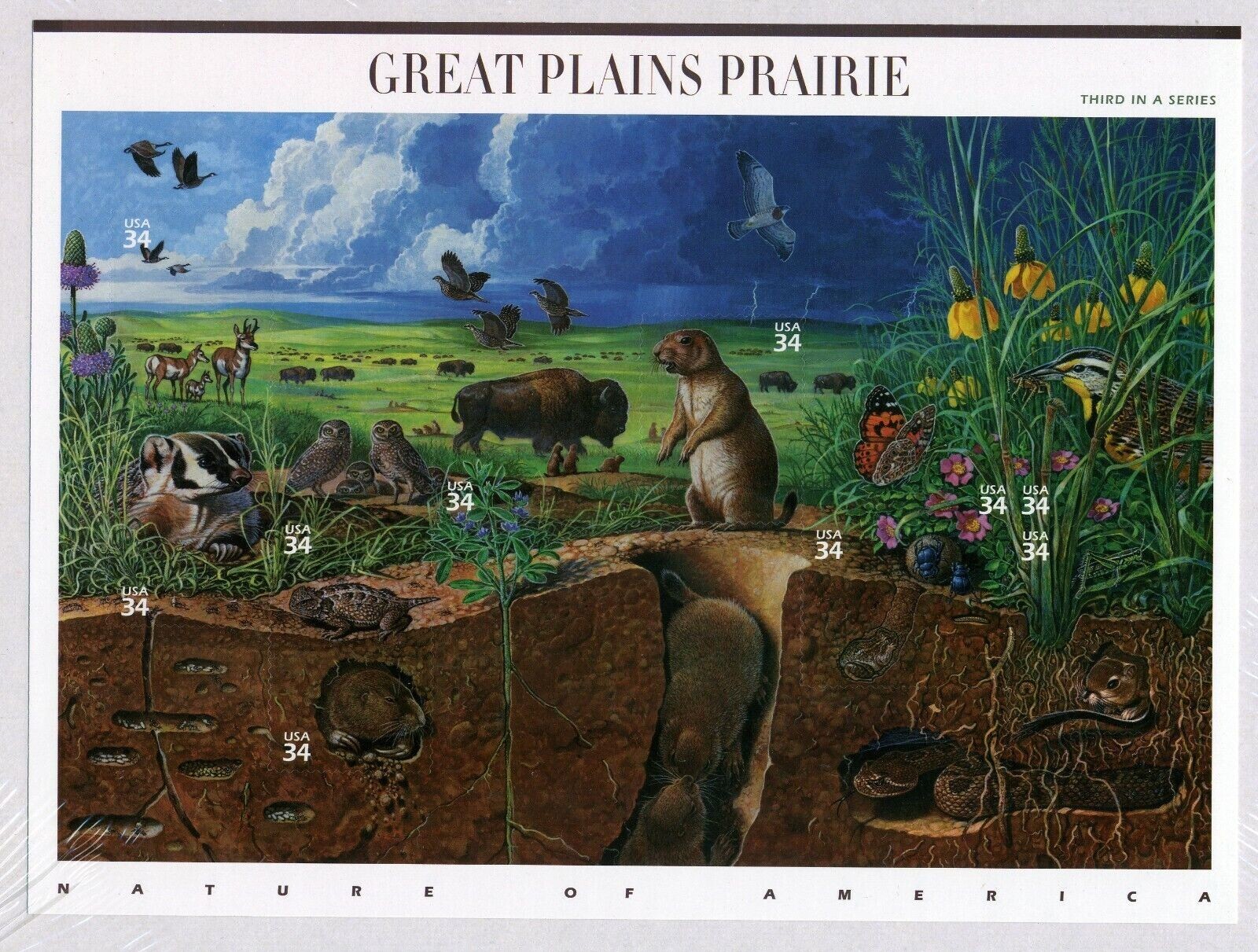 Five Sheets x 10 = 50 Nature of America: PLAINS PRAIRIE 34¢ US Stamps USA # 3506