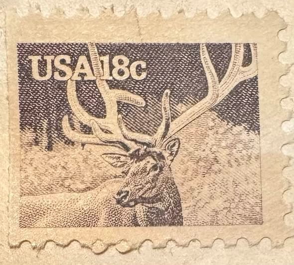 United States Postage Stamp 2 Cents