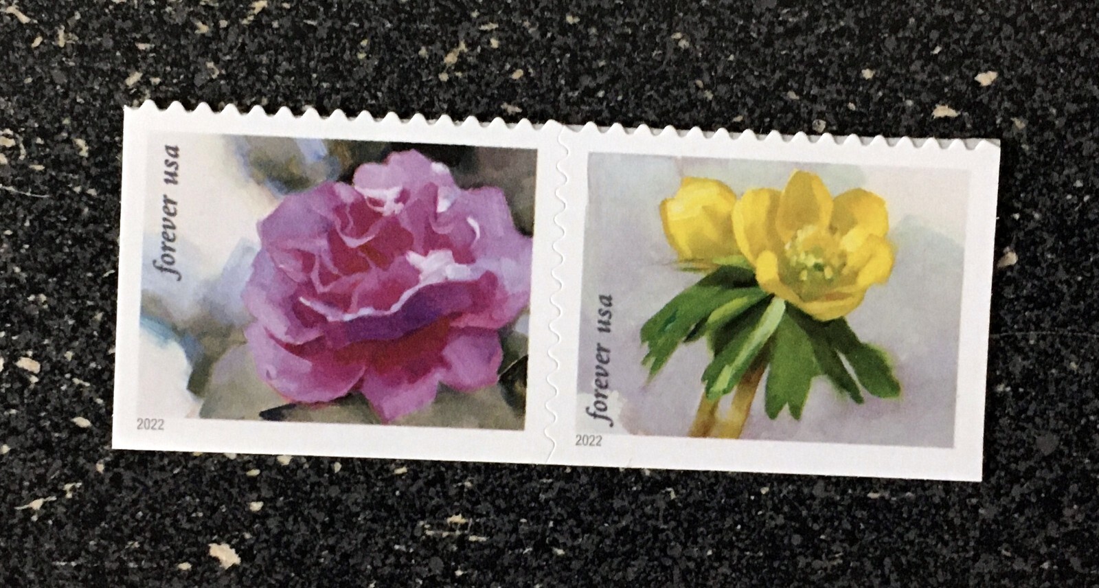 2022USA #5727-5728 Forever Snowy Beauty – Booklet Block 2 Mint postage flowers