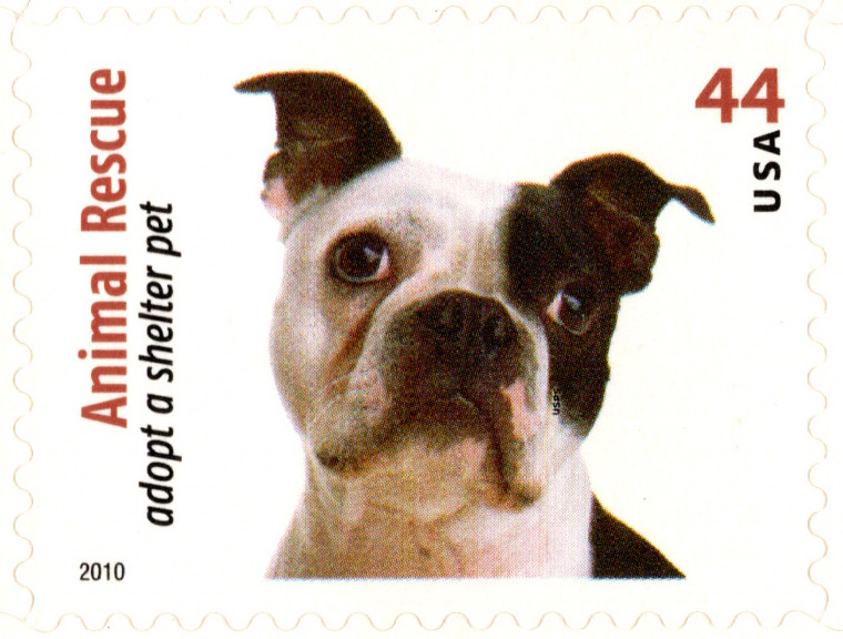 USA 2010 ANIMAL RESCUE ADOPT A SHELTER PET 20 STAMPS, SCOTT 4451-4460 MNH