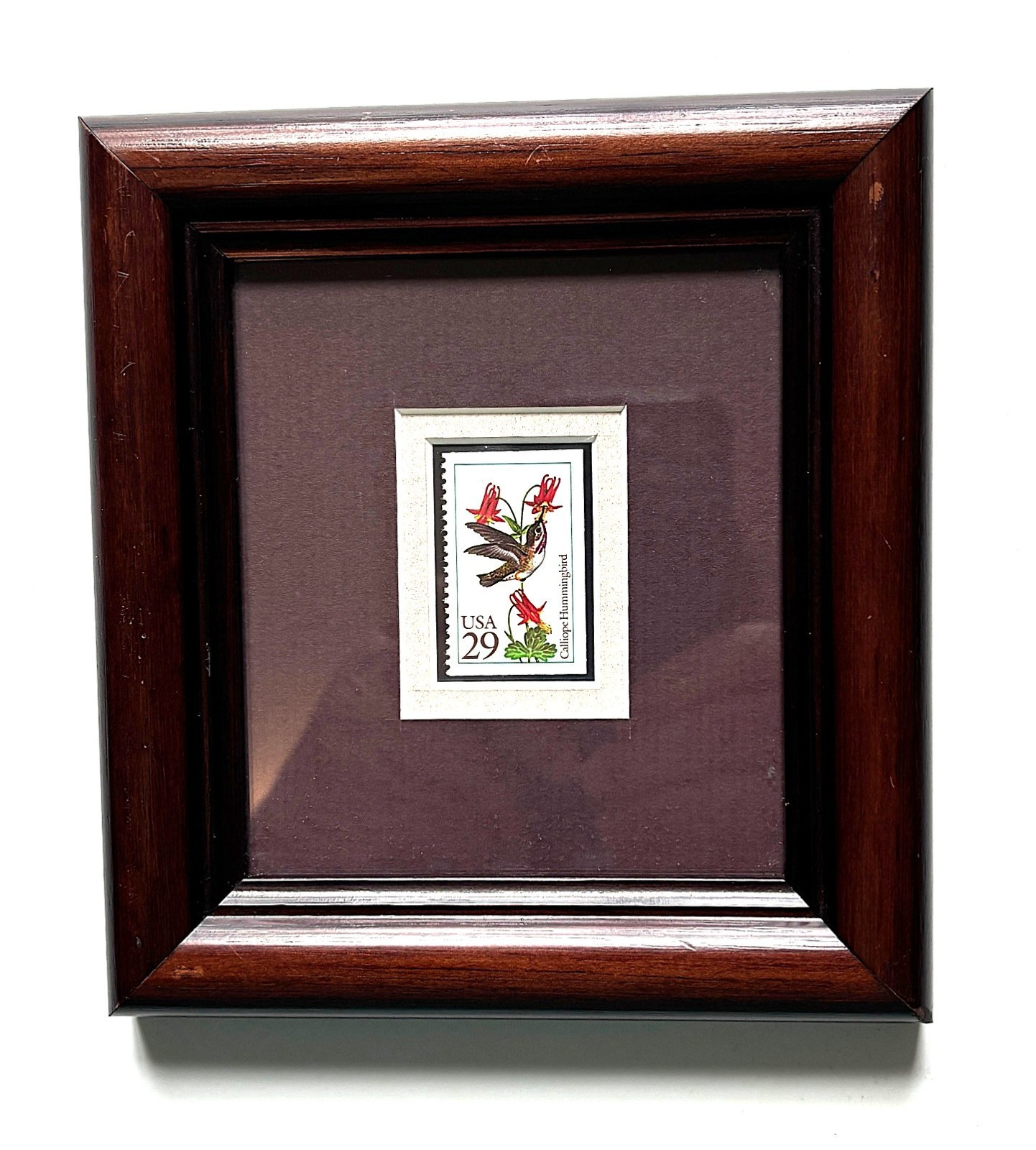 Vintage Framed 1993 Stamps & Stories Commemorative Stamp – Calliope Hummingbird