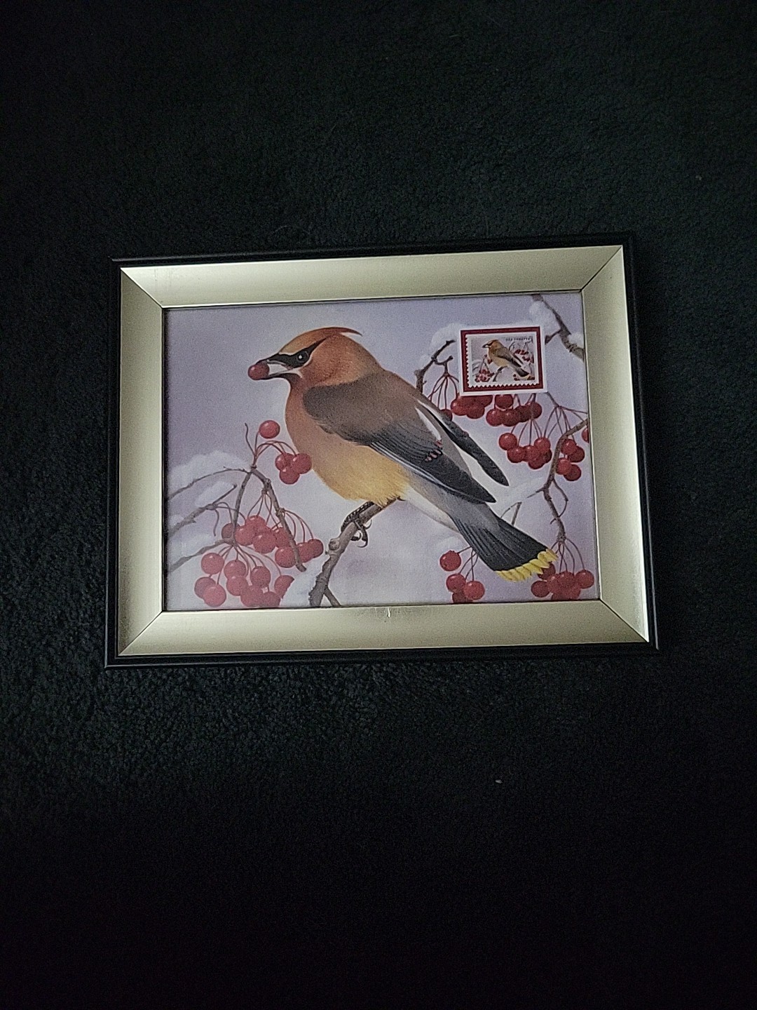 Songbirds In Snow Framed Pictures With US Postage Stamp. Aug. 2016 Portland OR
