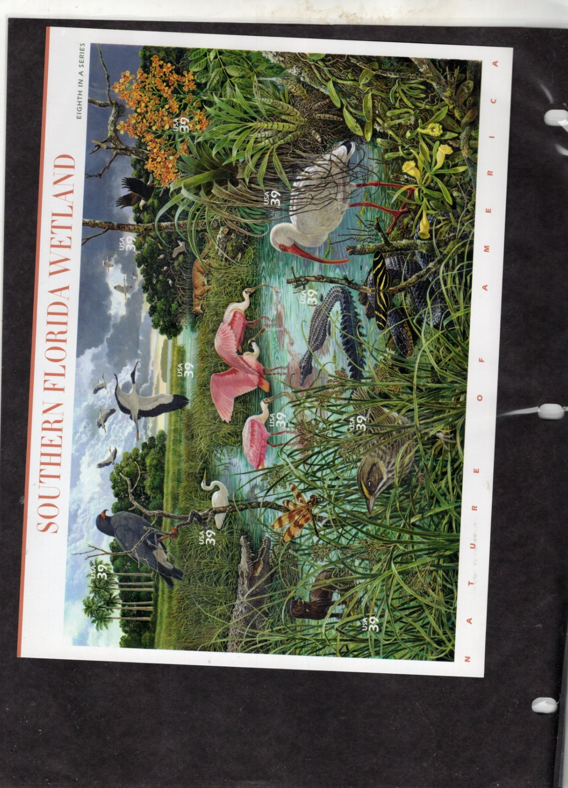 Complete Set of 12 NATURE OF AMERICA Sheets US Postage Stamps USA