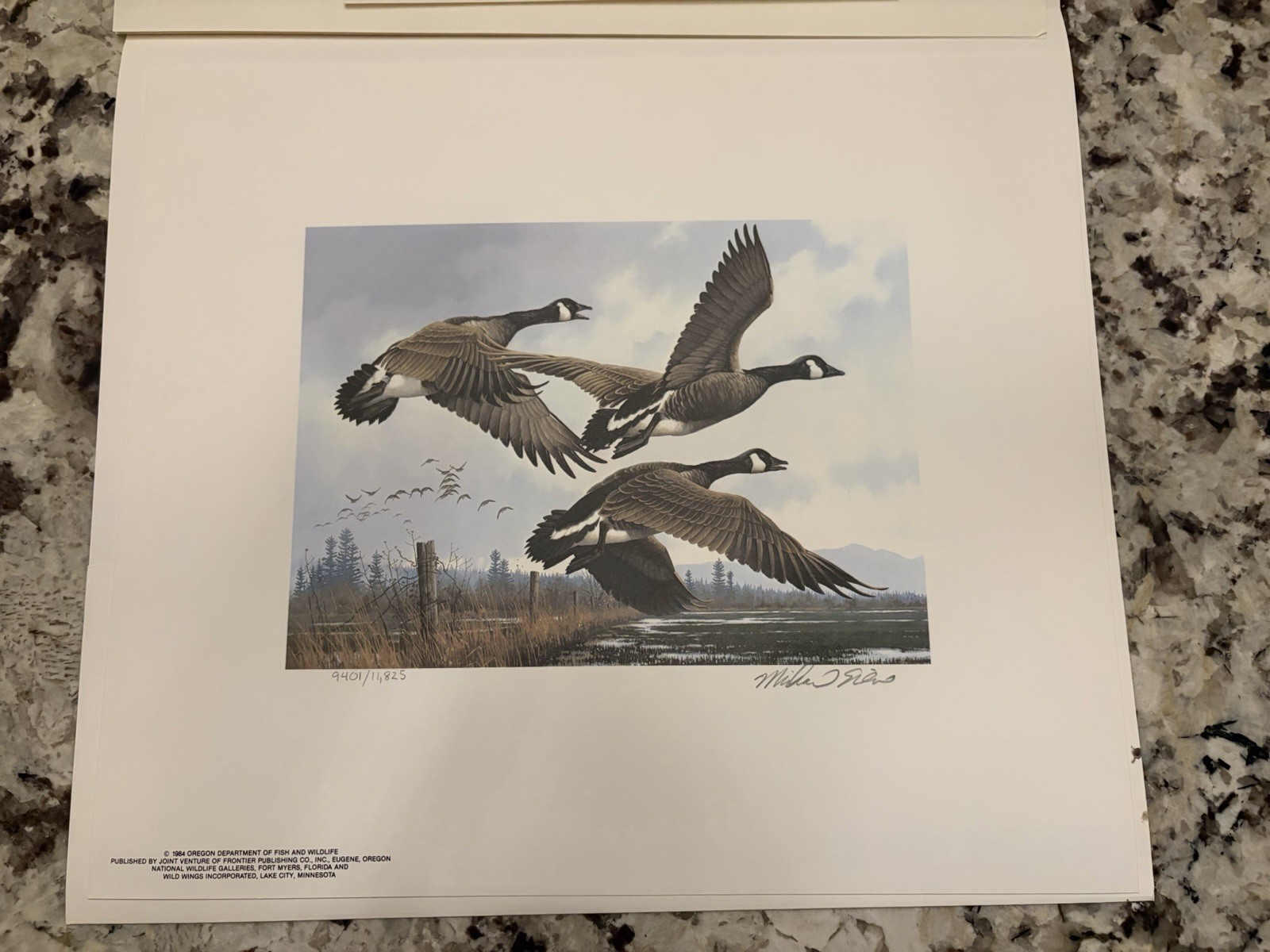 1984 Organ Waterfowl Stamp Print