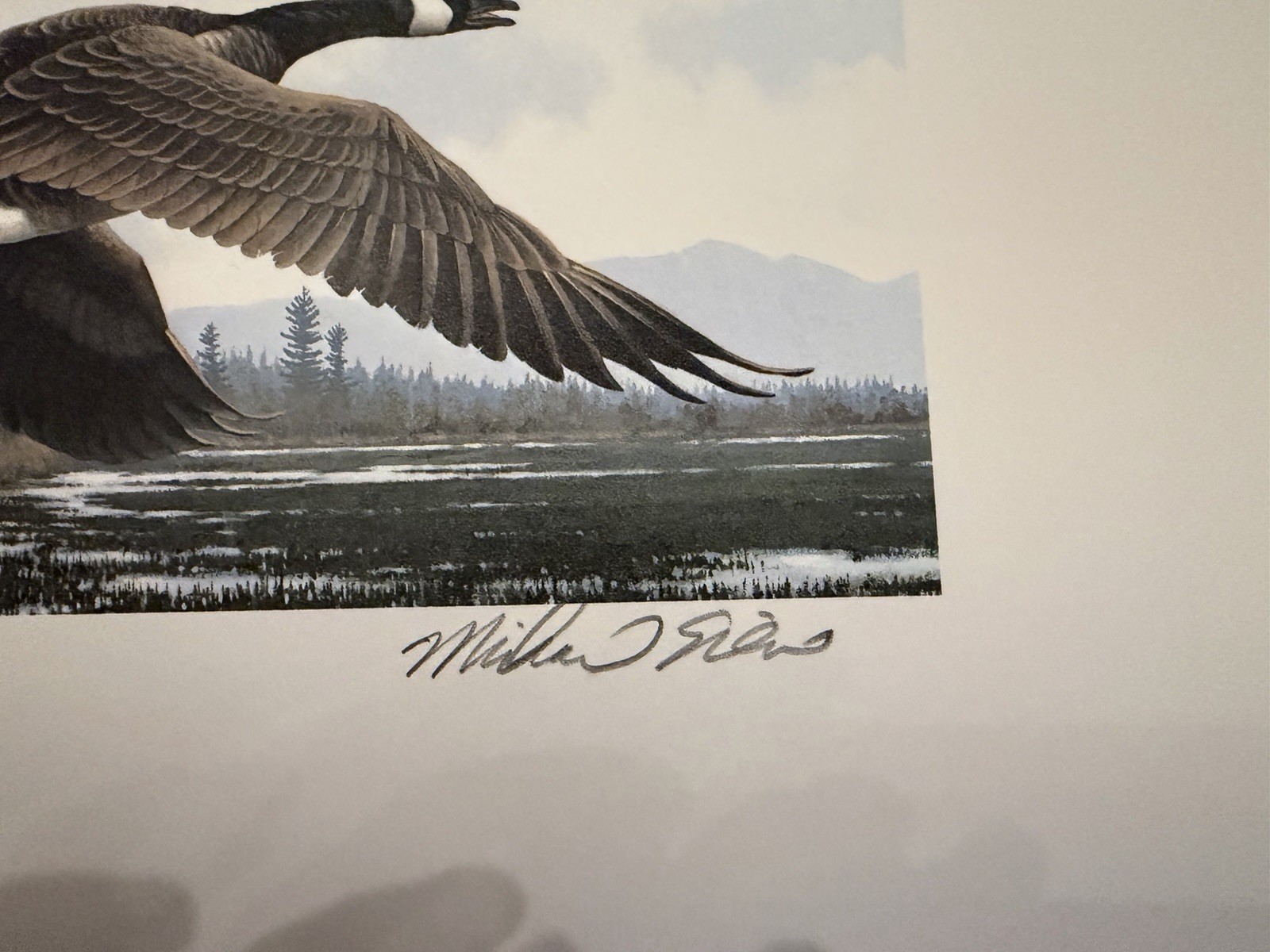1984 Organ Waterfowl Stamp Print