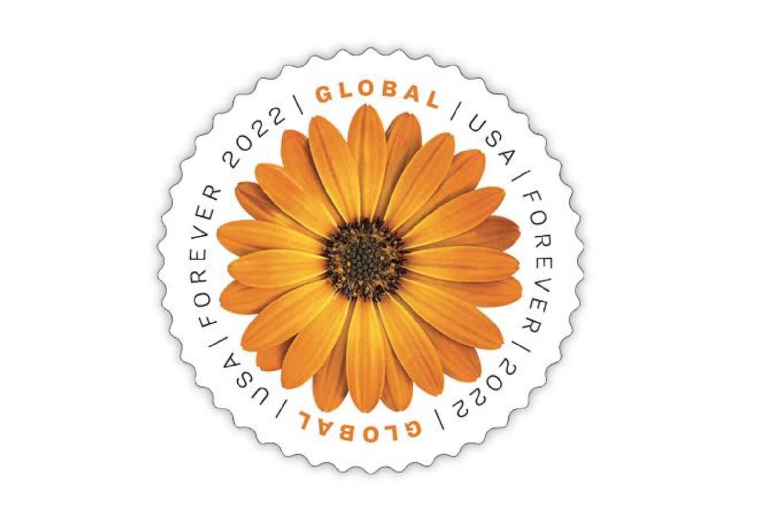 10 African Daisy Forever Stamps Self Adhesive First Class International Mail