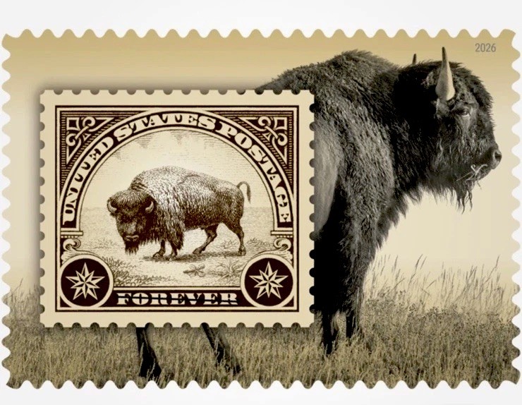 #6098 AMERICAN BISON STAMP 2026 USPS FOREVER STAMP In Stock MAMMAL WILDLIFE MNM