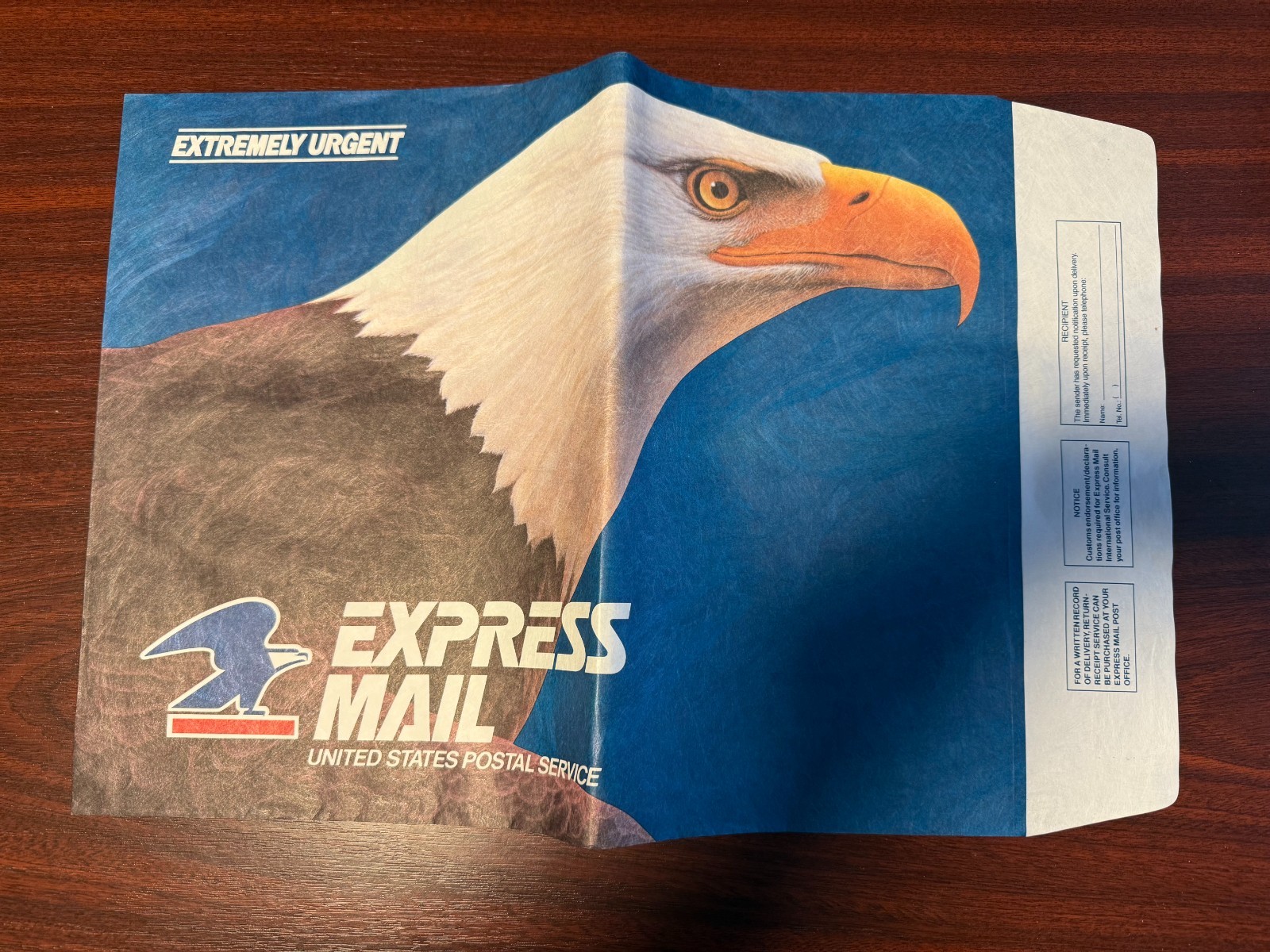 1993 USPS EXPRESS MAIL ENVELOPE American Eagle 12×18 inch Unused with no stamp