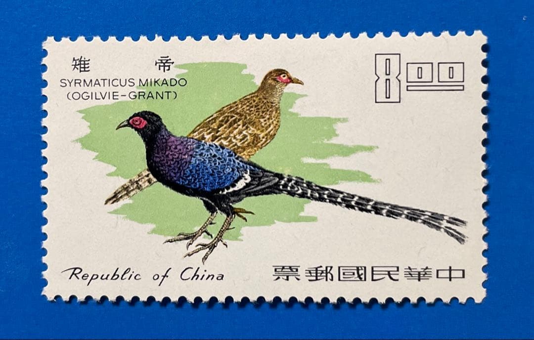 Republic of China (Taiwan) Stamps – Birds of Taiwan (Unused, Complete Set of 6)
