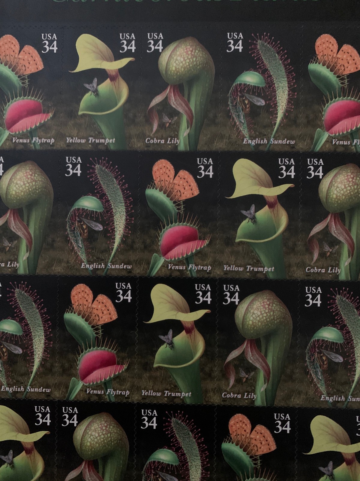 Carnivorous Plants Full Pane 34 Cent US Stamps – Sheet of 20 (Scott 3528-31)