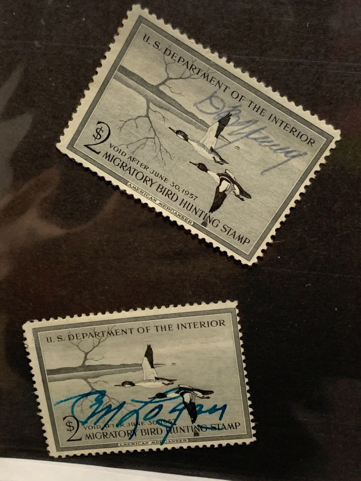 STAMPS US DEPARTMENT OF INTERIOR DUCK SCOTT RW23 $2 USED (2x)