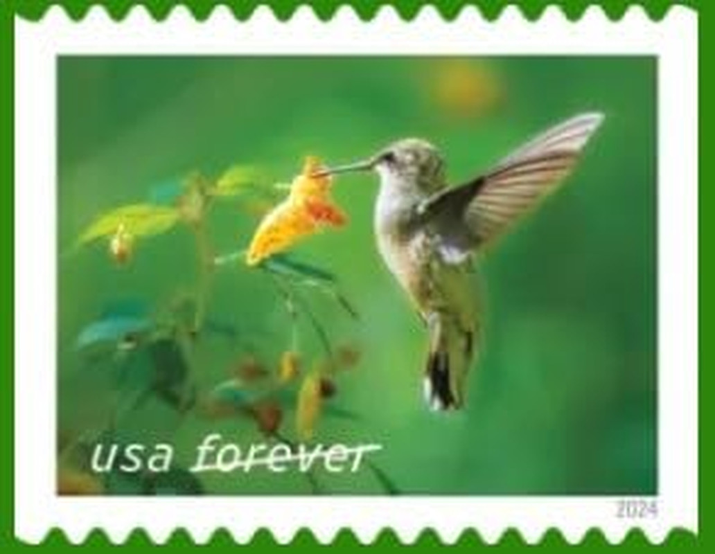 Garden Delights (Booklet of 20) First-Class Mail Forever Postage Stamps 2024 …