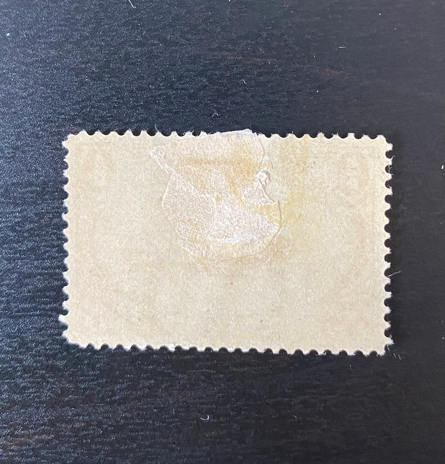 Indian Hunting Buffalo U.S. 287 orange 4 cent stamp 1898 Unused OG HR M295
