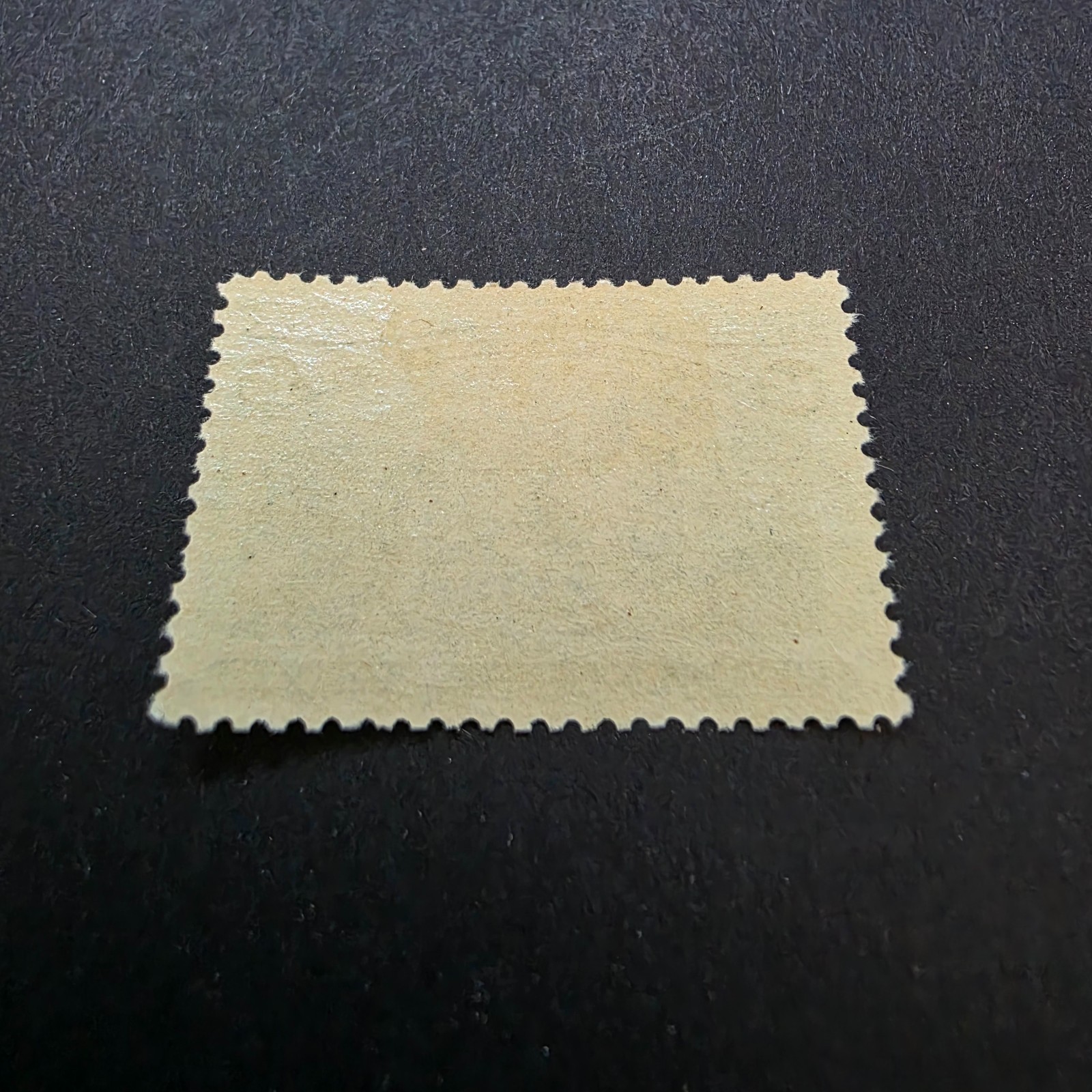 US Scott 238 Mint Lightly Hinged, Very Fine/Extremely Fine Grade 85