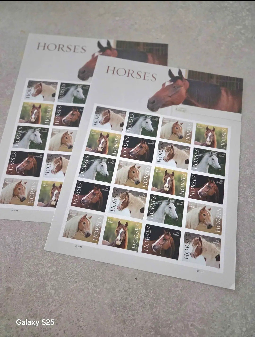USA 2024 FOREVER Stamps MNH HORSES Plate Block Sheet of 20 US MINT FREE SHIPPING