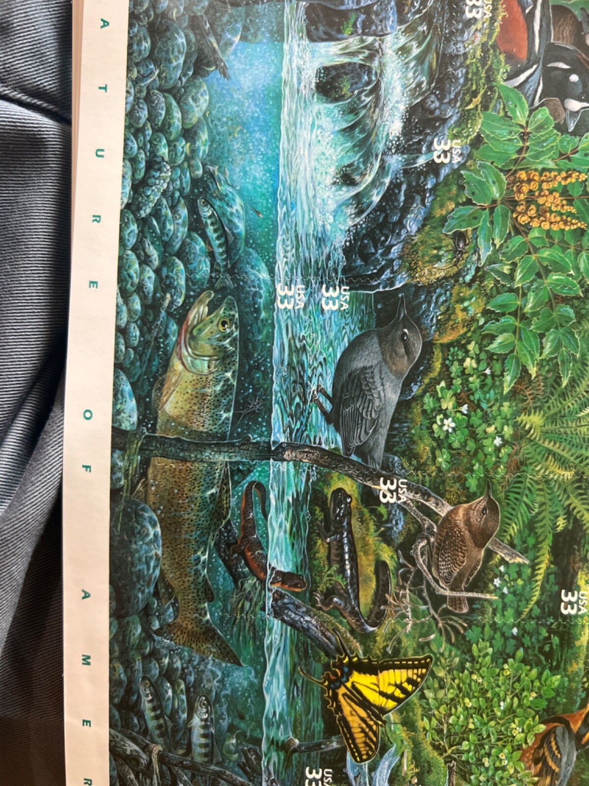 See Photos. US stamps. SCOTT # 3378 – PACIFIC COAST RAIN FOREST – PANE OF 10