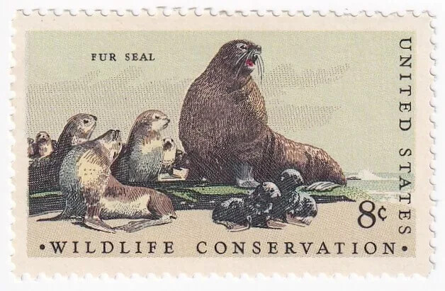 USA 1972 – WILDLIFE CONSERVATION Issue — FUR SEAL – MNH Stamp – Scott #1464