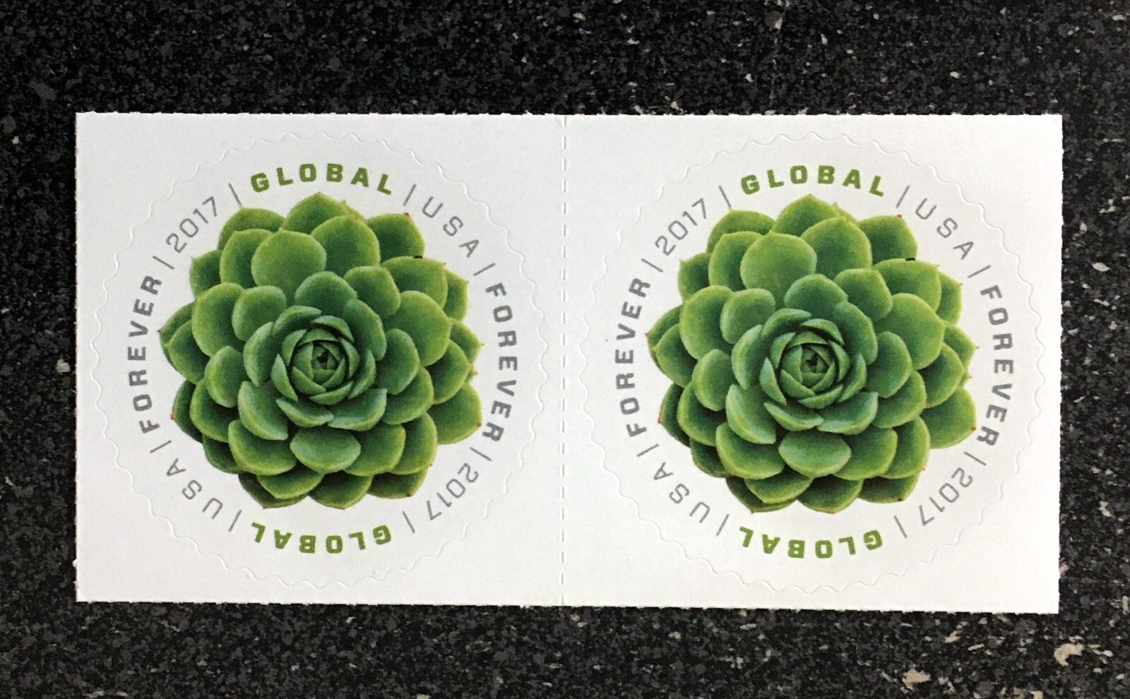 2017USA #5198 Global Forever Rate – Succulent Green – Pair 2 Mint sase postage