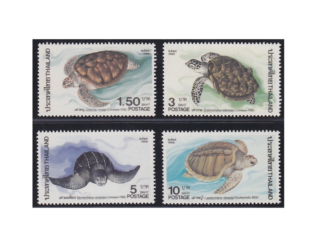 sea ​​turtle stamp