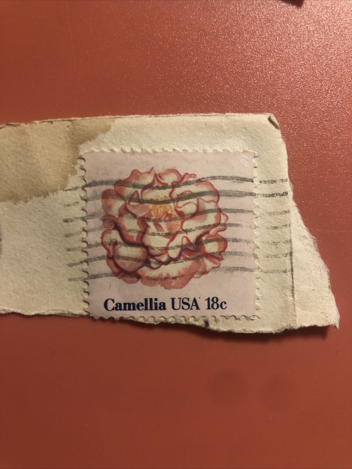 USA Camellia 18 Cent Stamp