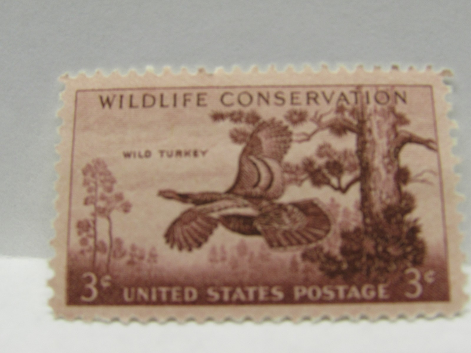 OFFER – Lot of 10 US Postage Stamps – Three Used – Never Hinged
