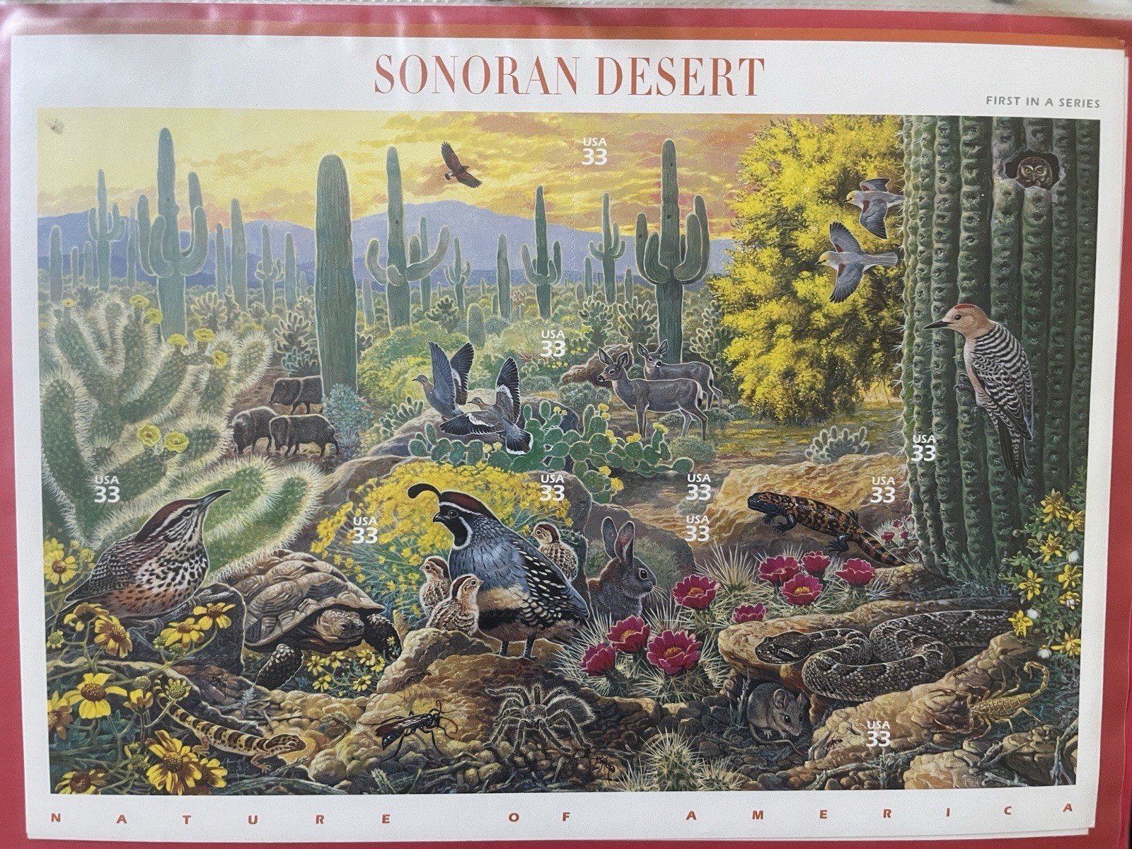 Complete Set of 12 NATURE OF AMERICA Sheets US Postage Stamps USA Sc 3293 – 4474