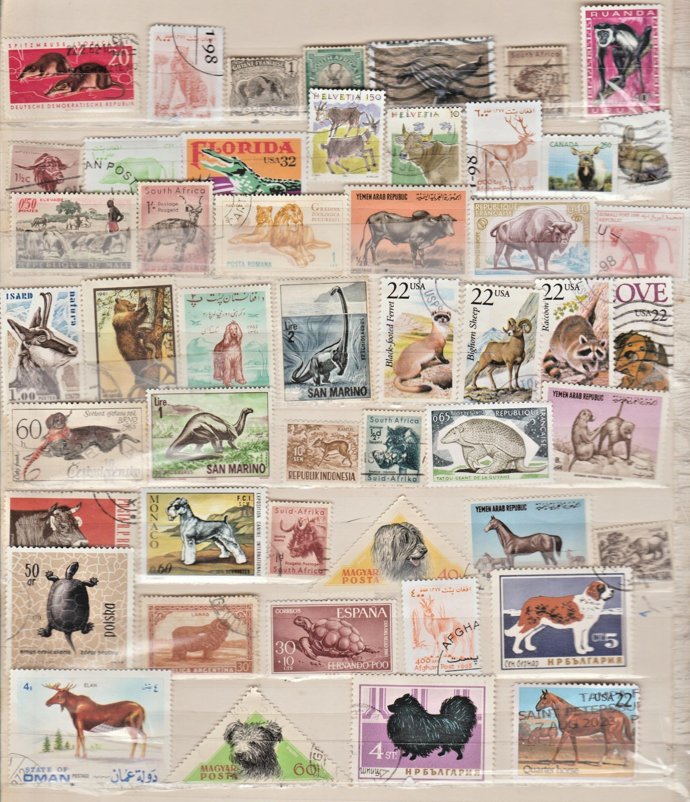 Animal 50 stamps postage, wildlife theme collection