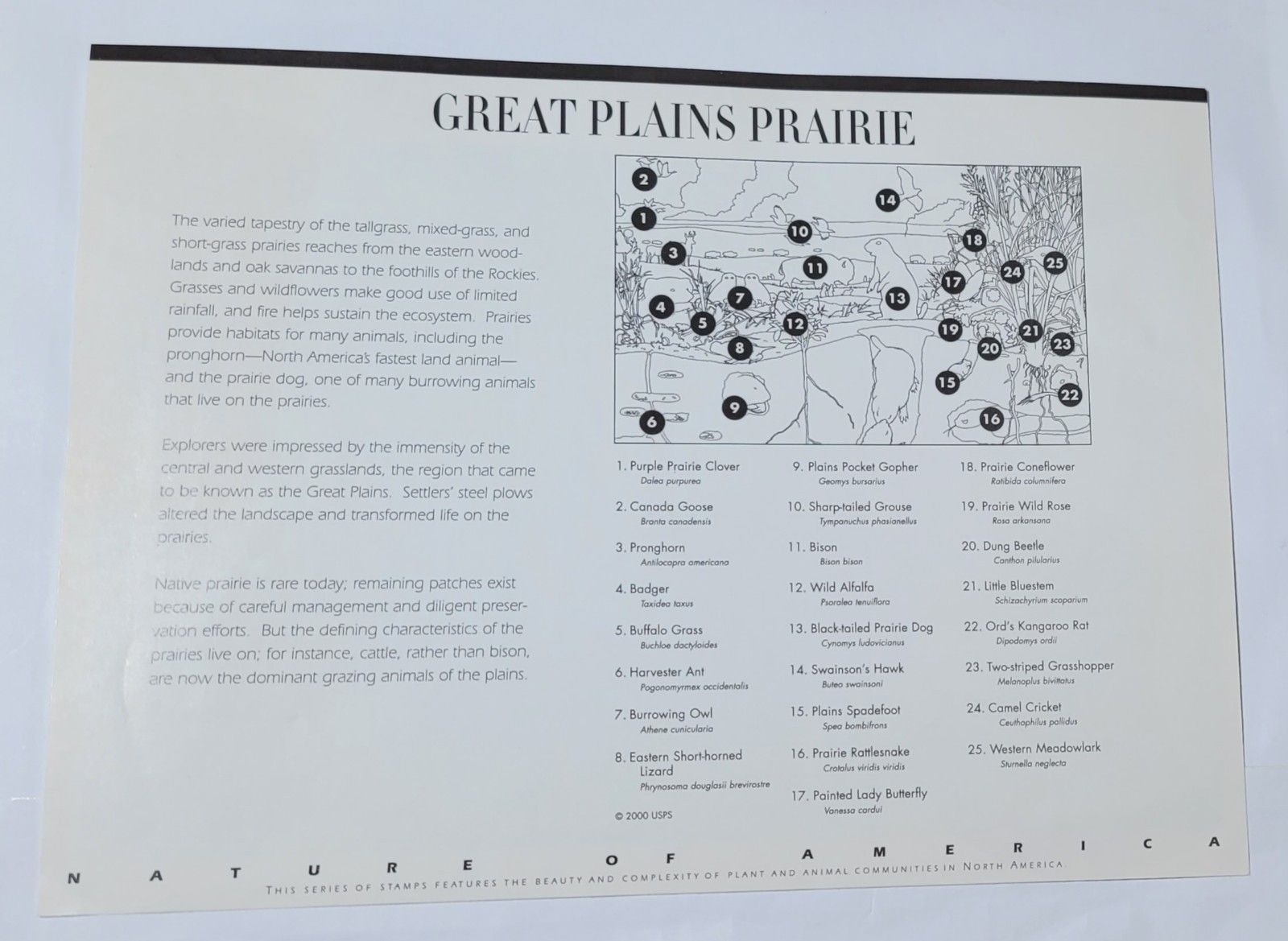 Great Plains Prairie Commemorative – US #3506 Full Mint Sheet – 34 cents MNH