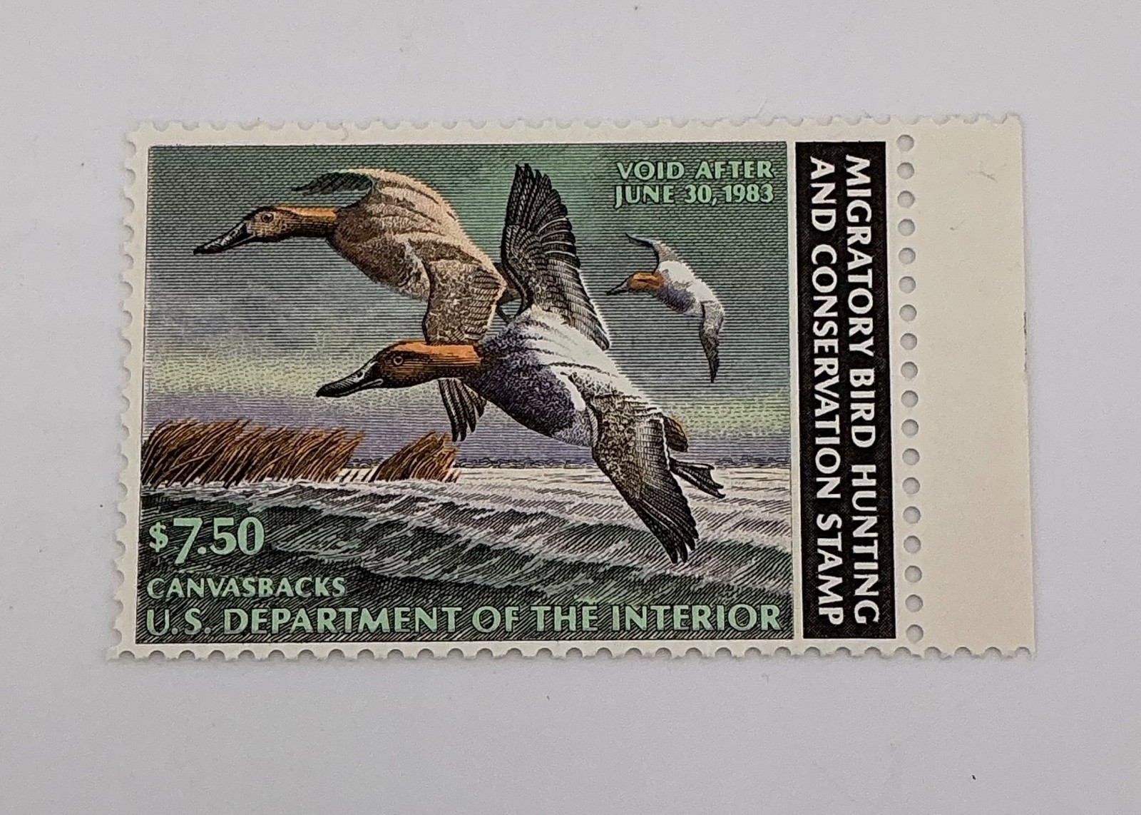 1982 US Federal Scott #RW49 Canvasbacks MNH
