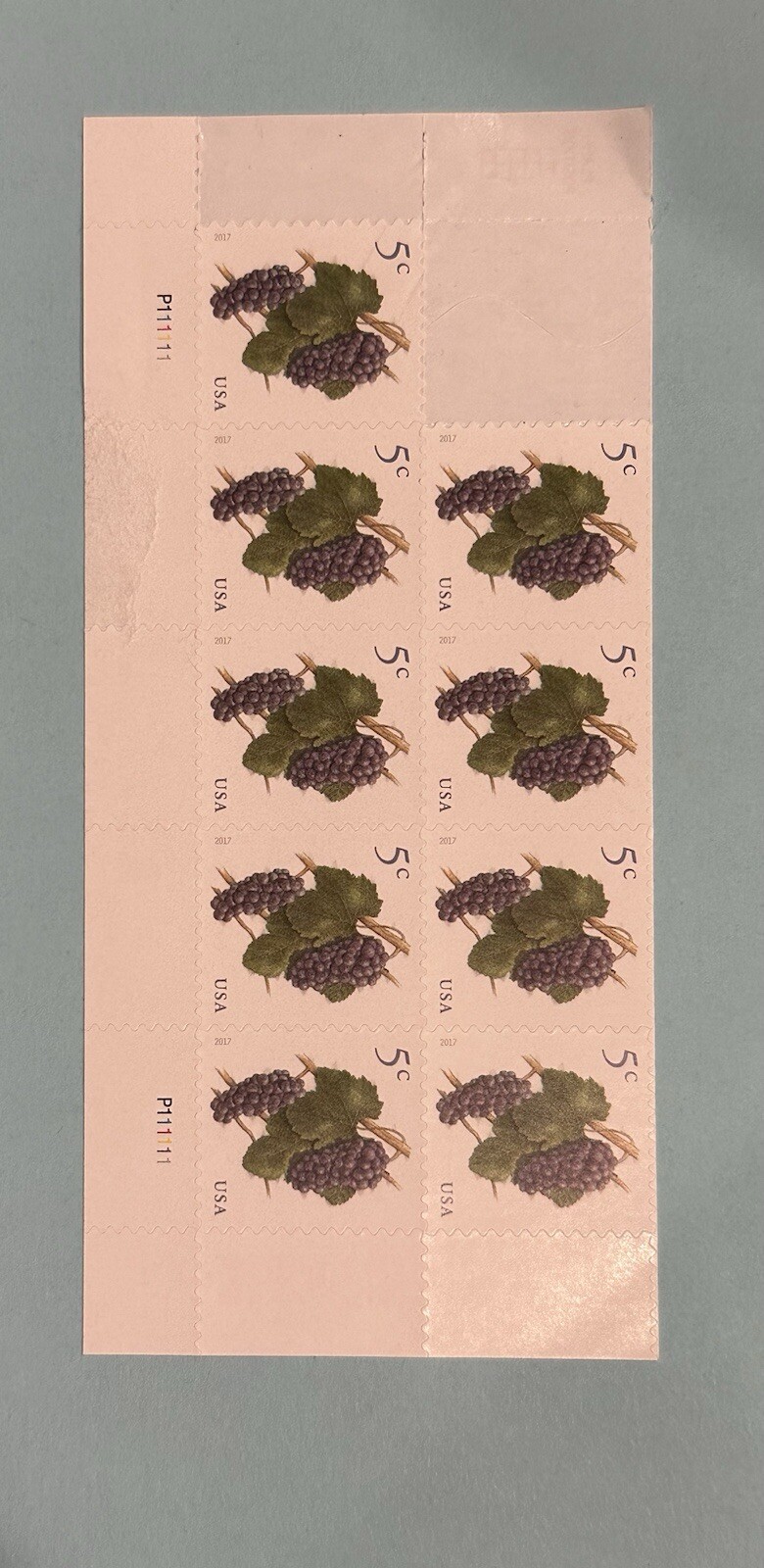 Nine 5c Grape USPS Stamps 2017