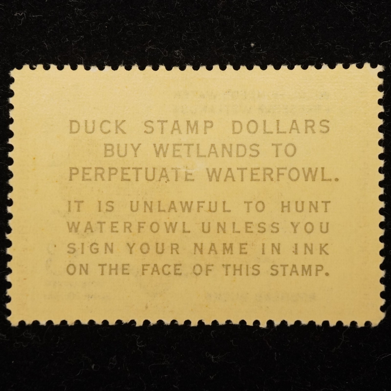1960 $3 Federal Redhead Ducks Stamp, Lightly Hinged – Free Shipping USA