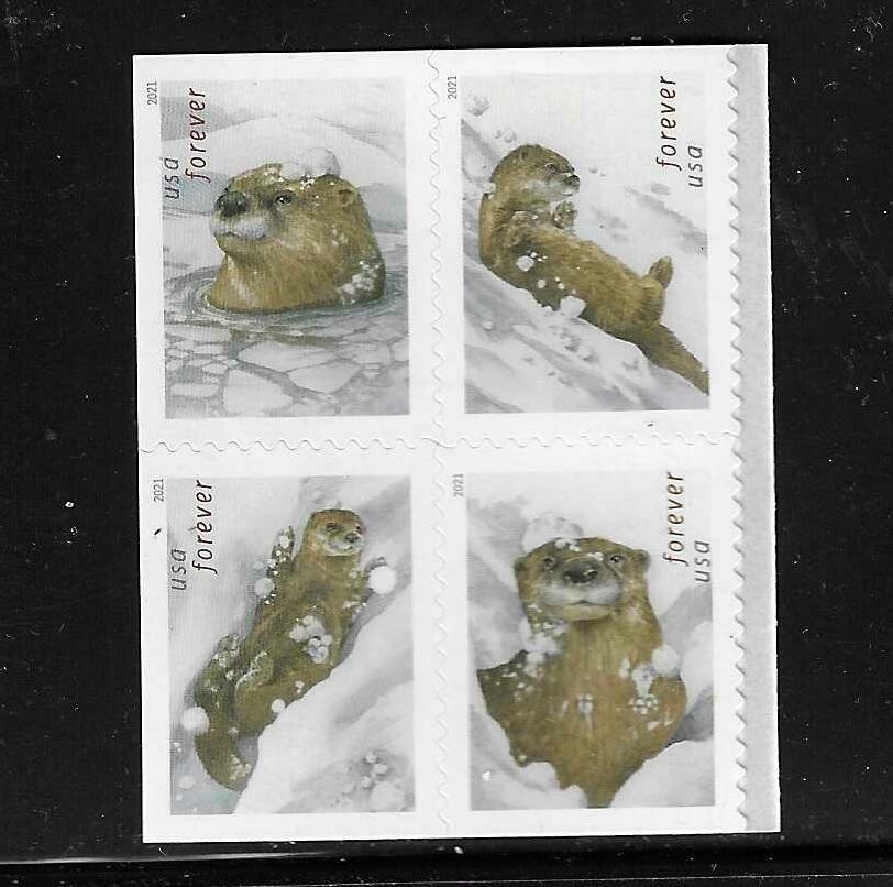 USA SC # 5648-5651 Otters In Snow . MNH