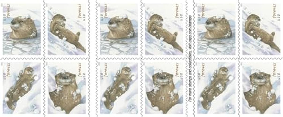 United States Postal Service Otters in Snow Postage Stamps (1 Booklet of 20