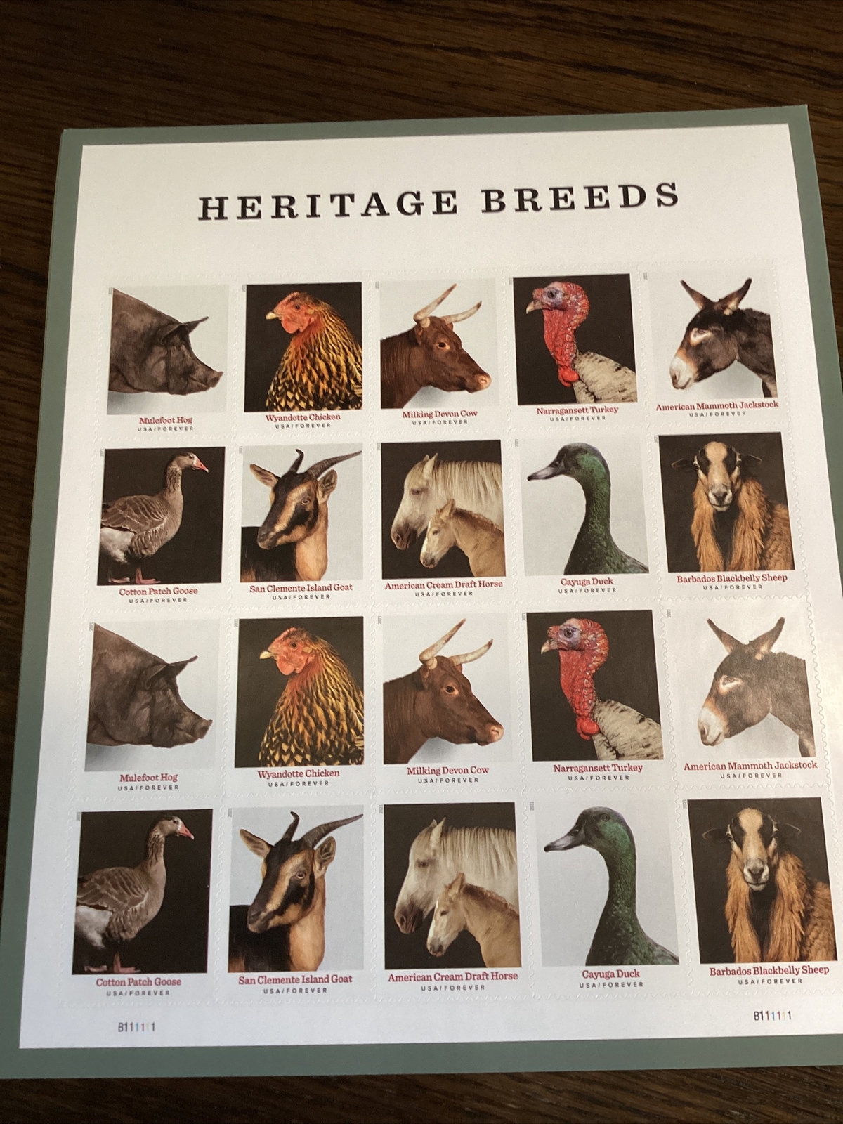 SCOTT # 5583-92 – HERITAGE BREEDS-SHEET OF (20) FOREVER STAMPS-MNH-2021-US