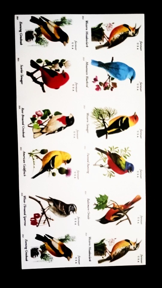 Songbirds US Forever Postage Stamps, Songbirds USPS Forever Postal Stamps