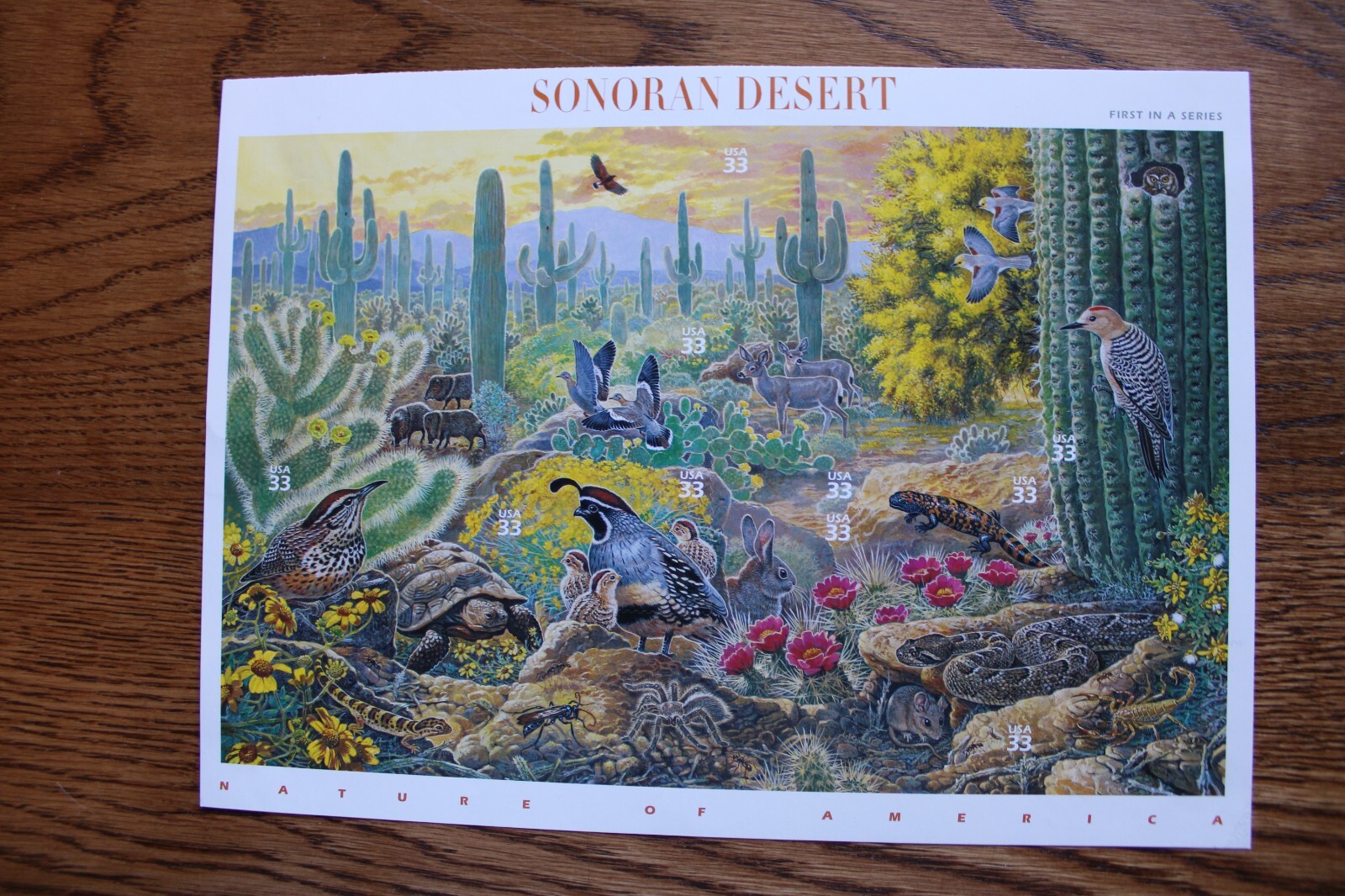 3293 SONORAN DESERT 33 CENT MNH stamps in 6.5 x 10 sheet 1ST in Series