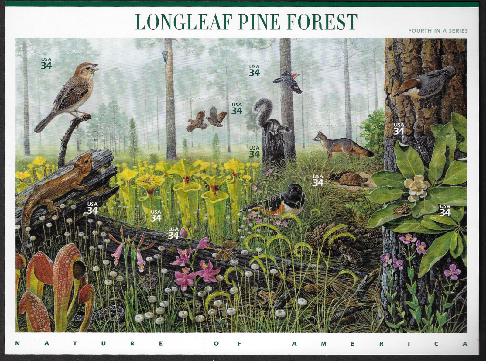 US Stamps Full Pane of 10, LONGLEAF PINE FOREST #3611, MNH