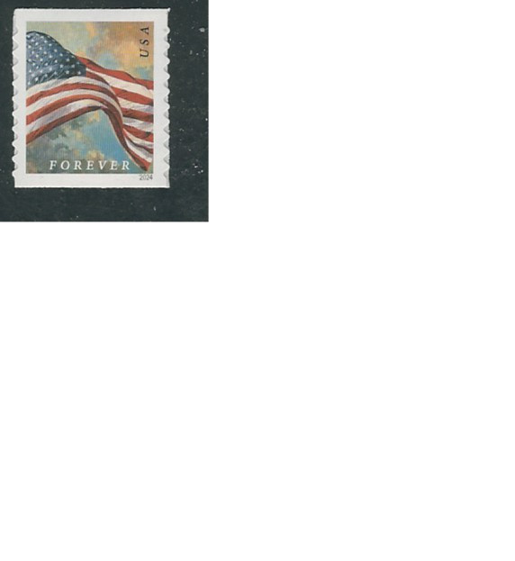 Scott #5873…Forever Flag…Perf 9.