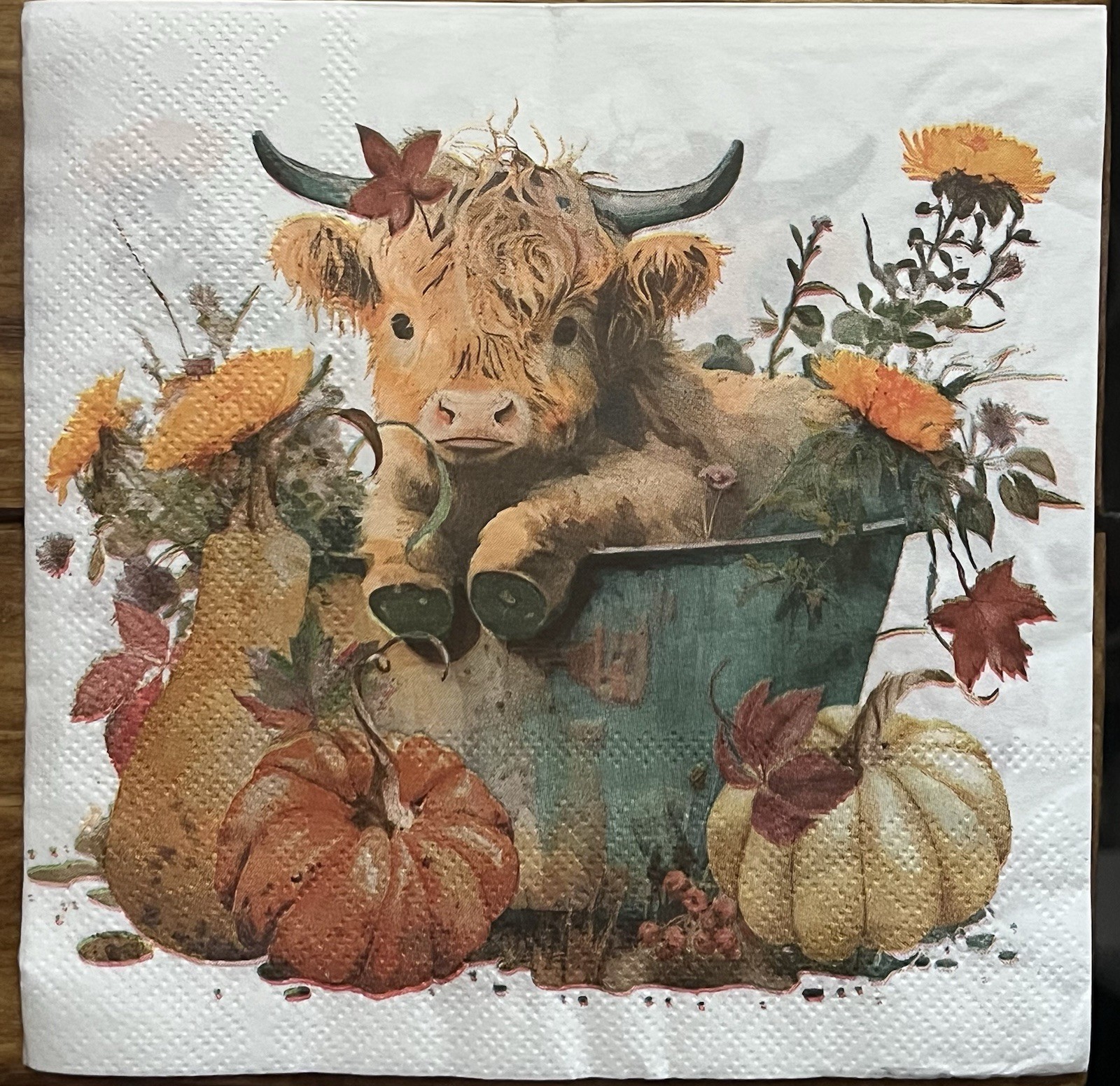 TWO Paper Lunch Napkins Decoupage Fall Highland Cow Pumpkins – 6.5×6.5”