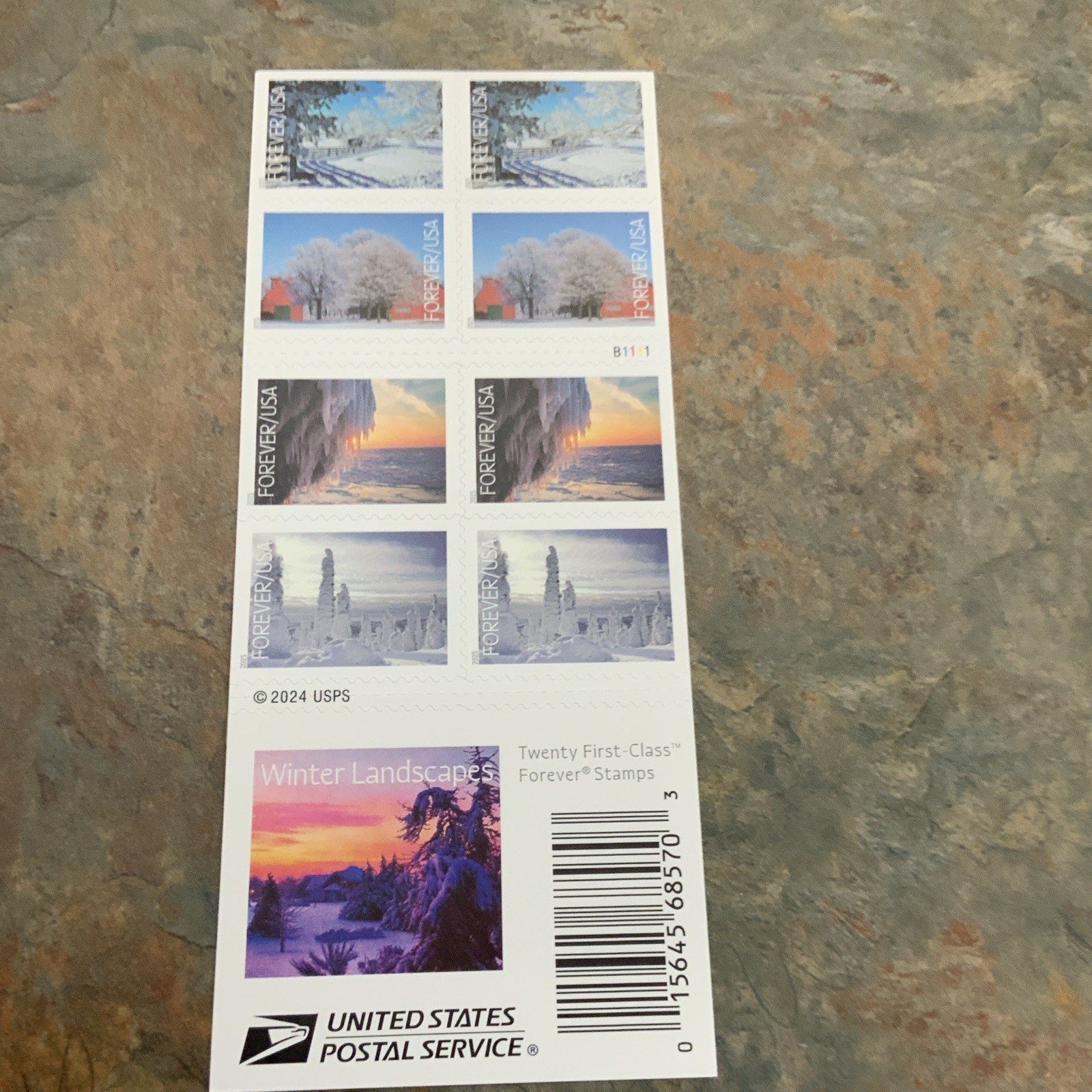 2024 USPS Winter Landscapes Forever Stamp MNH Scott #6038-42