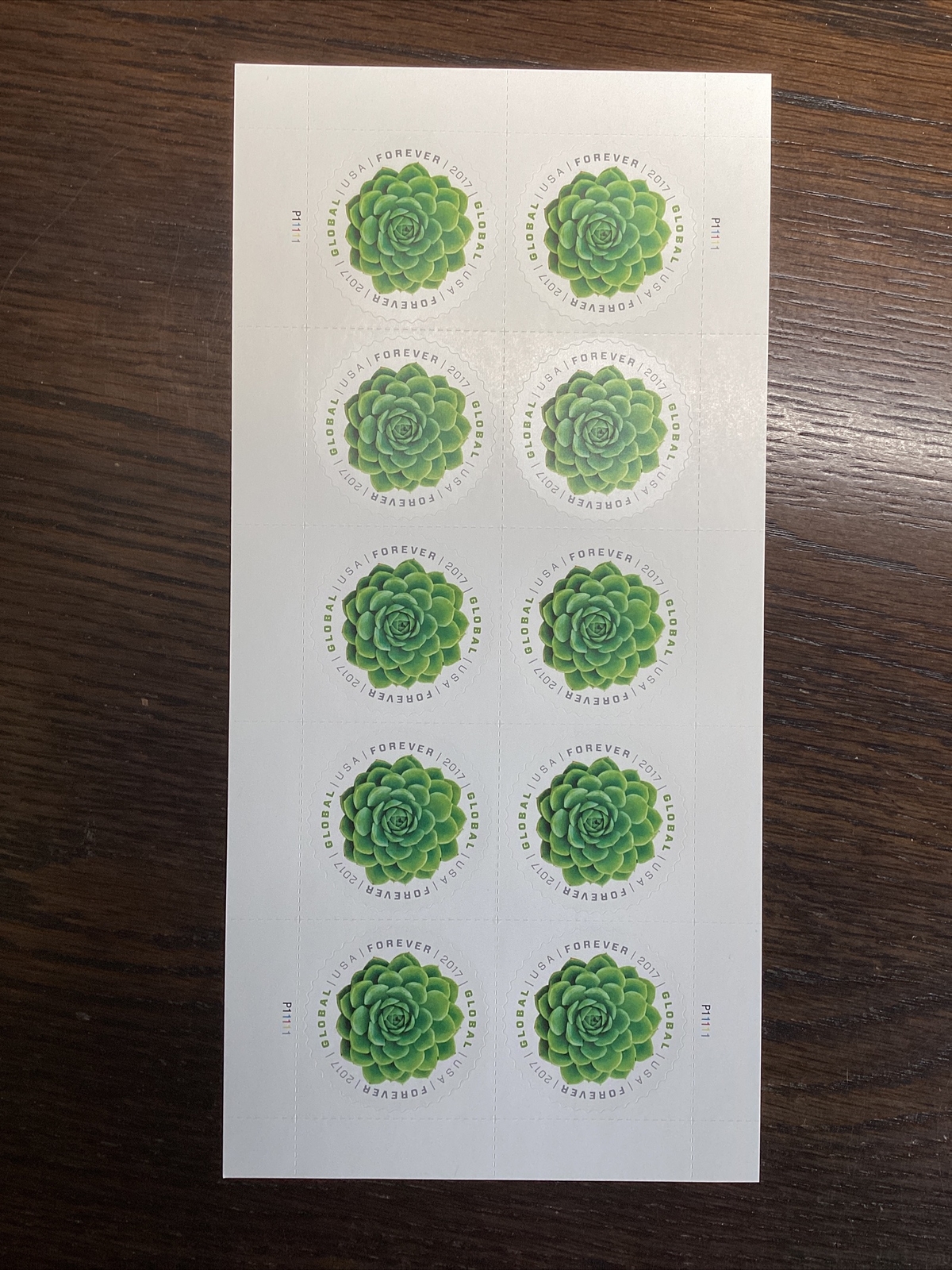 SCOTT#5198 PANE OF 10 GLOBAL GREEN SUCCELENT STAMPS FOREVER MNH-2017-US