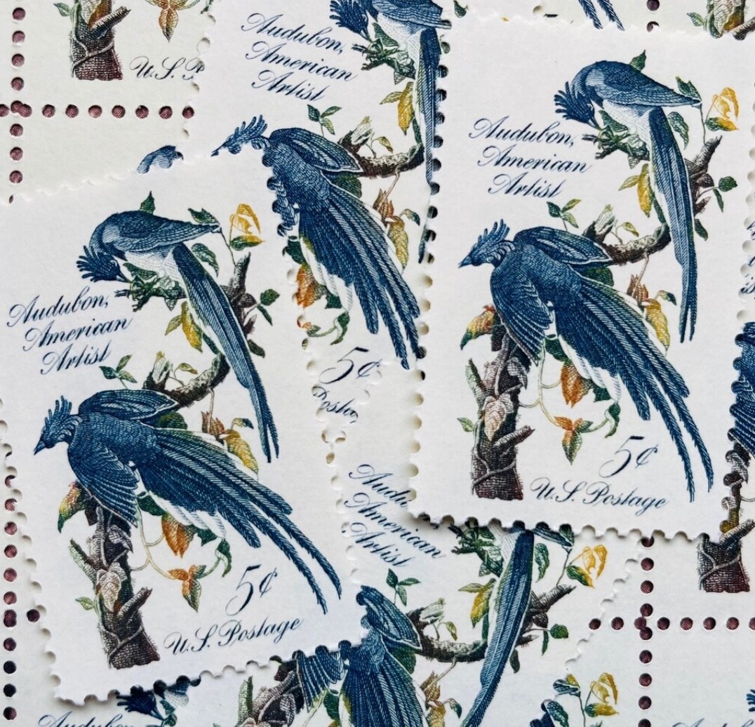 United States 5¢ John Audubon – Columbia Jays Postage Stamp #1241 Pack of 100