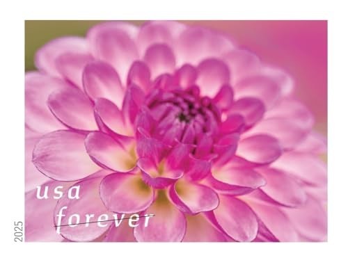 Dahlia Forever Postage Stamps – 2025 Edition, 2 Books of 20, First-Class Mail