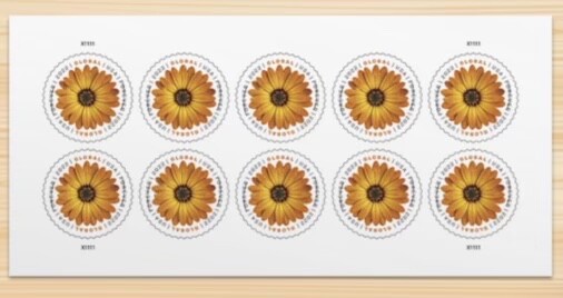 Global Forever Stamps – Sheet of 10 Stamps (International)