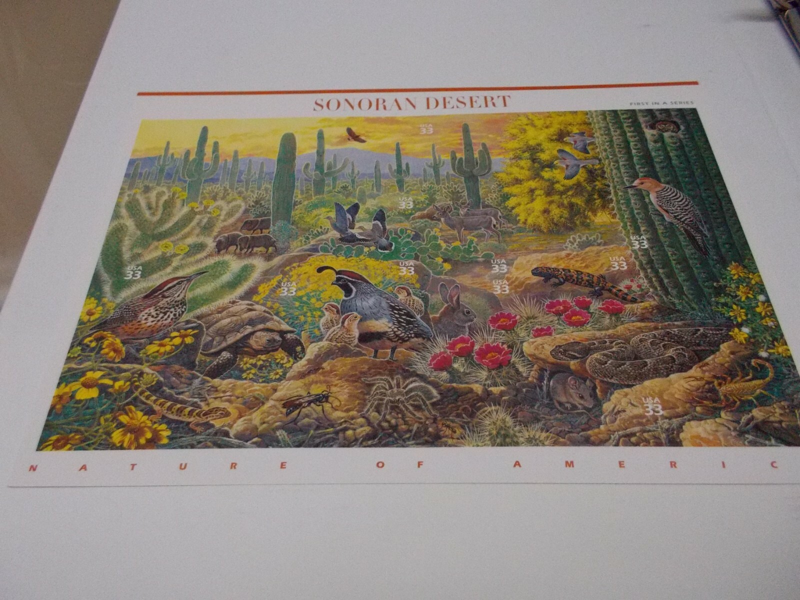 #3293 SONORAN DESERT 1st in a Series 25 33 CENT STAMPS 1999 MNH Free Shipping