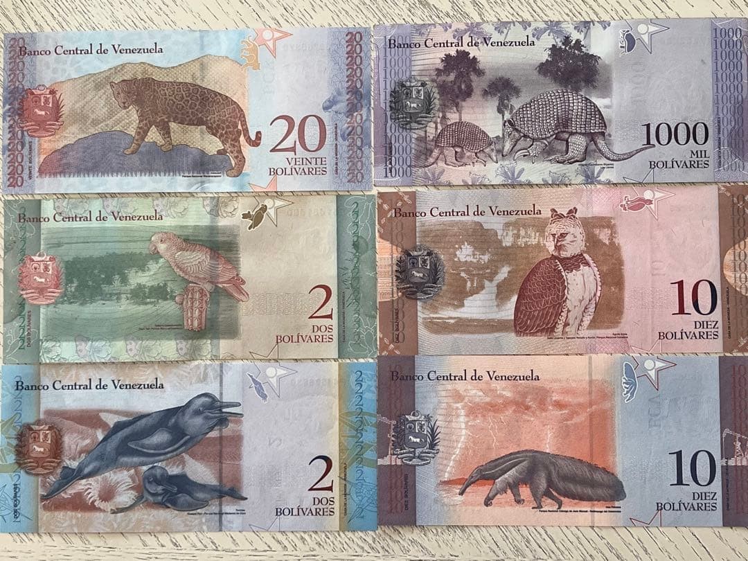 Venezuela Bolivar Banknote Set (Animals and Historical Figures)